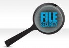PDF File Security