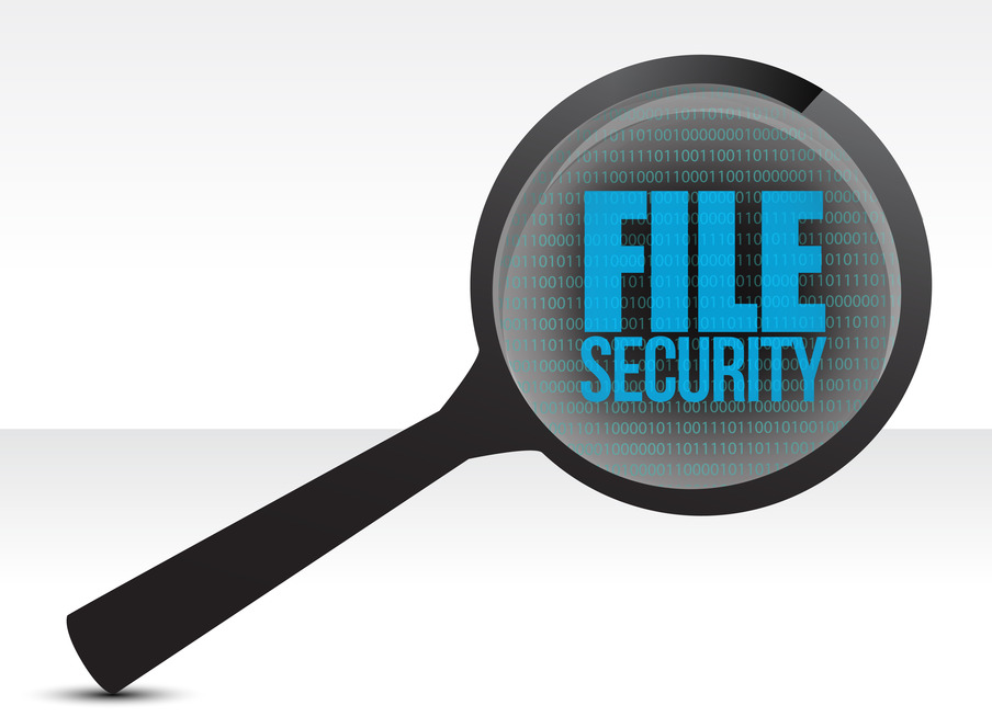 PDF File Security